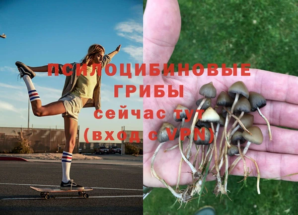 стафф Бежецк