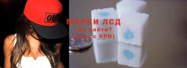 хмурый Нефтекумск