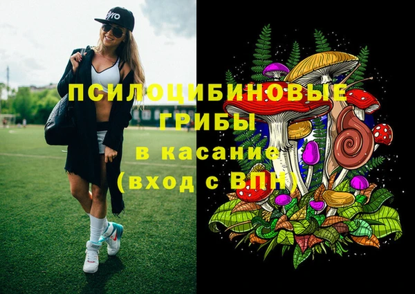 шишки Наволоки