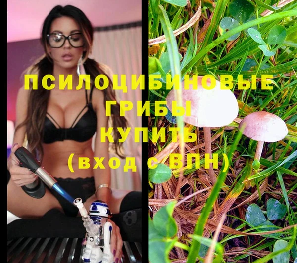 хмурый Нефтекумск