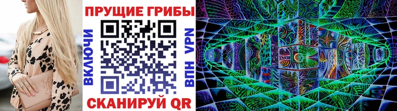 Галлюциногенные грибы прущие грибы  даркнет какой сайт  Исилькуль  кракен tor 